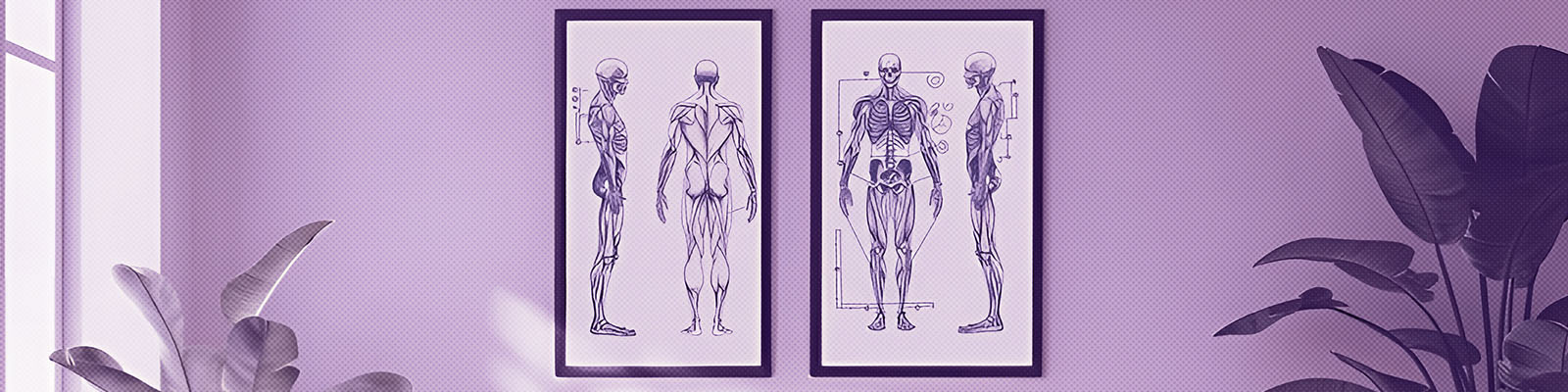 Department: <span>X-Ray</span>